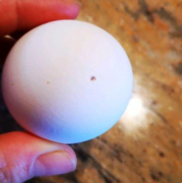 金槍魚雞蛋法式酸奶油沙拉，這道沙拉營養(yǎng)豐富，最適合做營養(yǎng)餐了